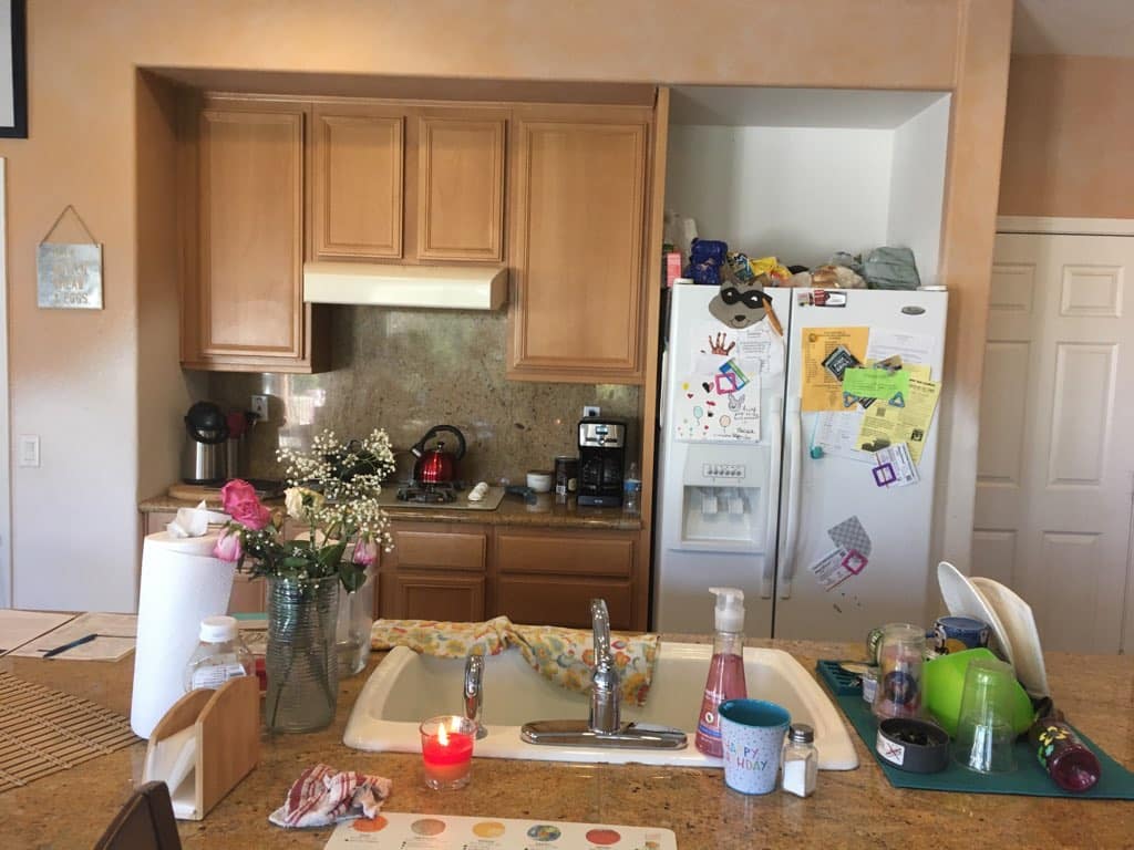 Kitchen Remodel Cost